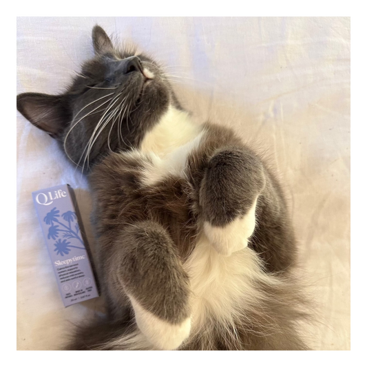 Calm, Comfort, and Restful Sleep: A Guide to QLife's Sleepytime Drops for Pets